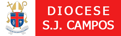 diocese link